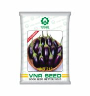 vnr 212 brinjal seeds 10 gm pack on sarbagya