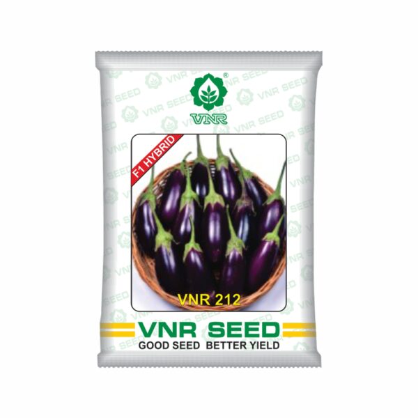 vnr 212 brinjal seeds 10 gm pack on sarbagya