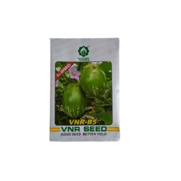 vnr b5 brinjal seeds